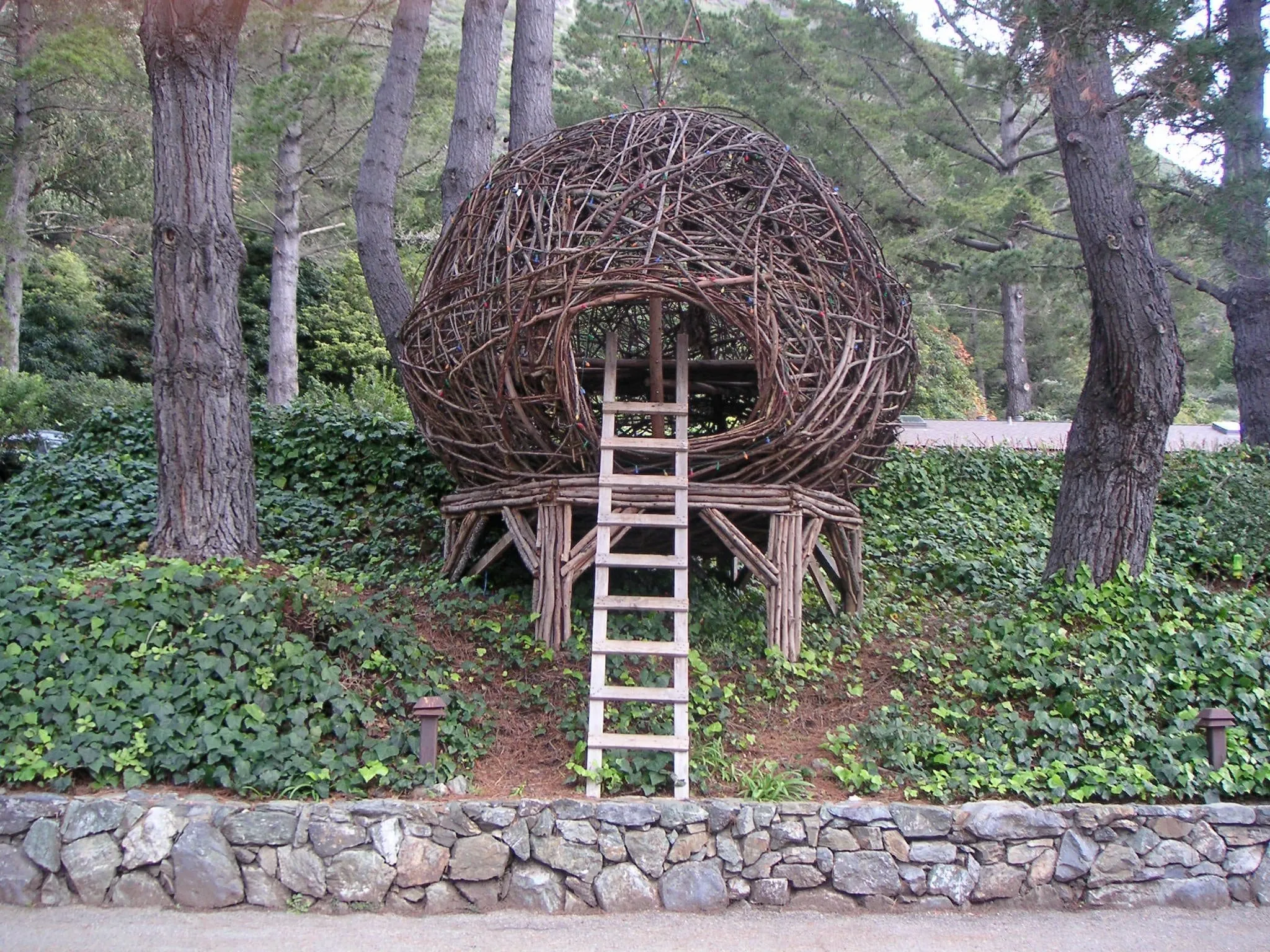 A woven nest sculpture with a ladder among trees at Esalen