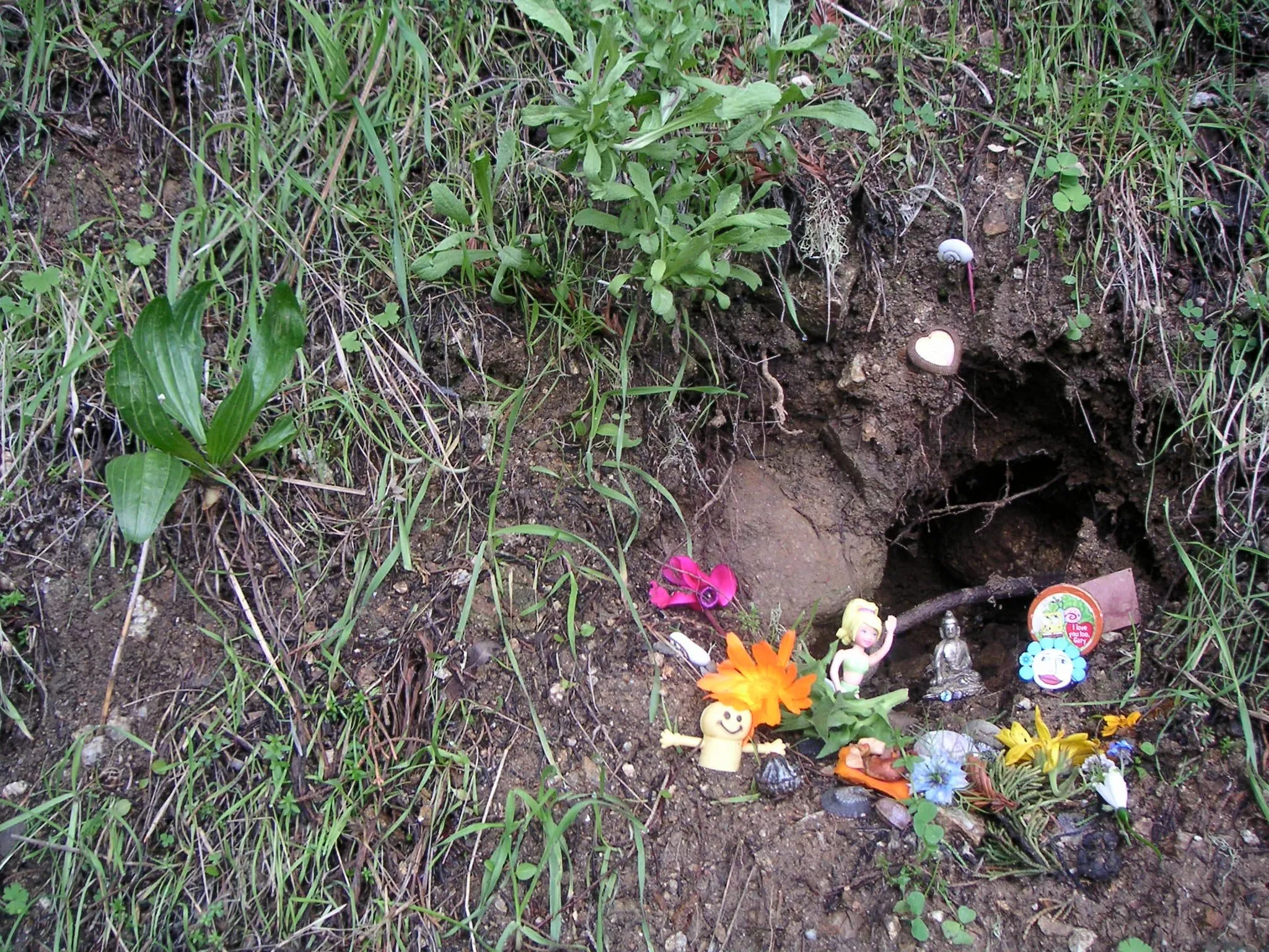 Finger puppets nestled in the grass at an IFS retreat