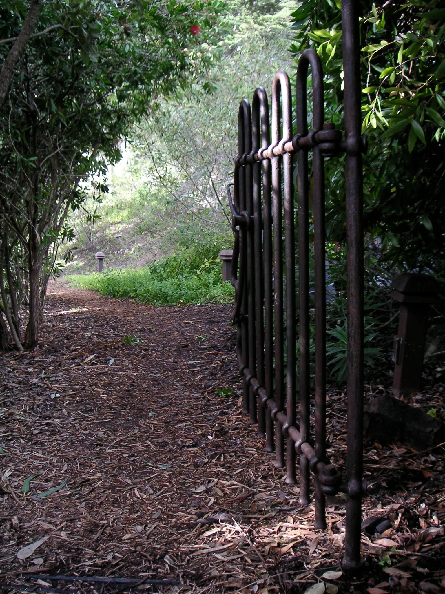 An old iron gate on a wooded path at Esalen